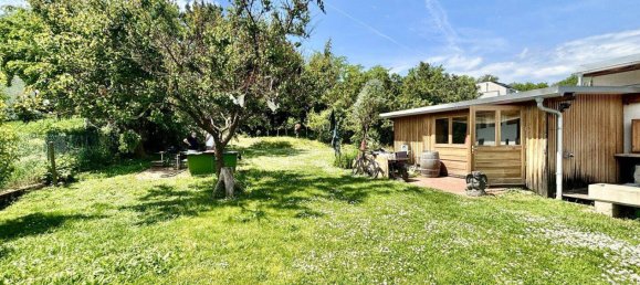 3 rooms Land in Neusiedl am See, Austria No. 167201 4