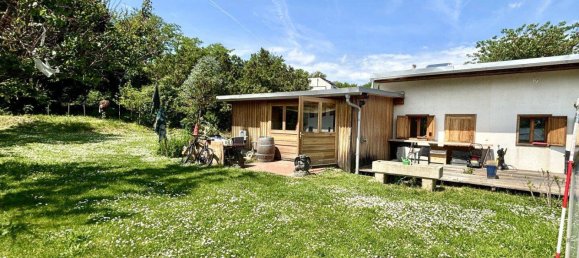 3 rooms Land in Neusiedl am See, Austria No. 167201 5