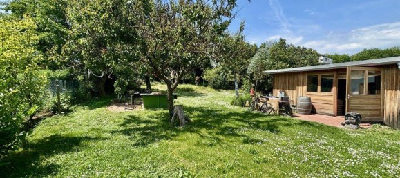 3 rooms Land in Neusiedl am See, Austria No. 167201 3