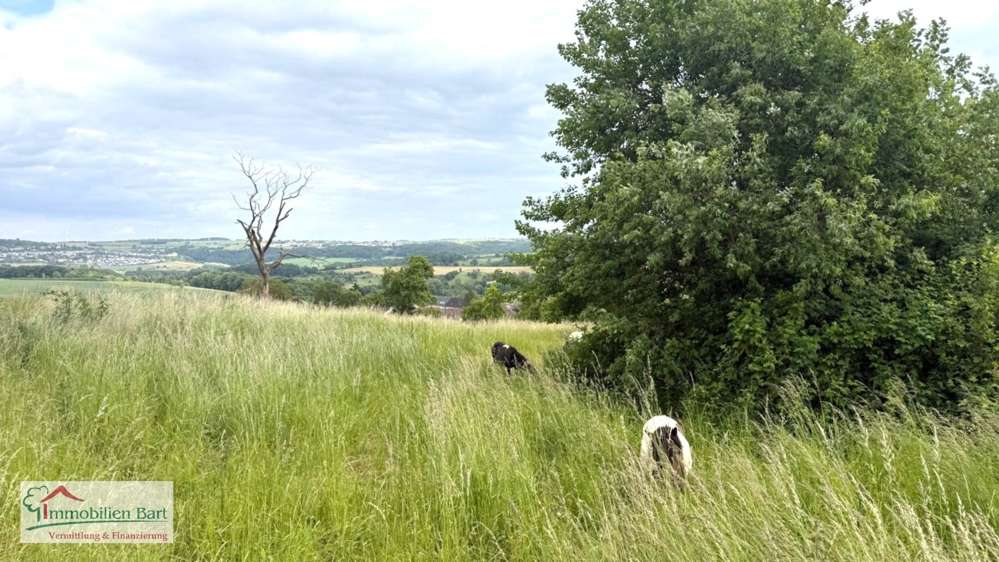  Land in Trier-Saarburg, Germany No. 259543