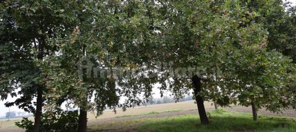 6 bedrooms House in Russi, Italy No. 113968 4