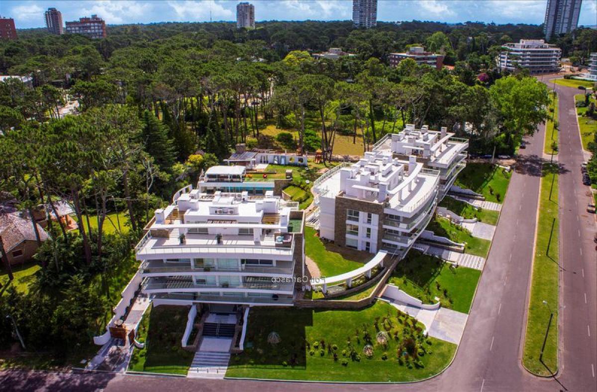 Studio in Punta del Este, Uruguay No. 10240