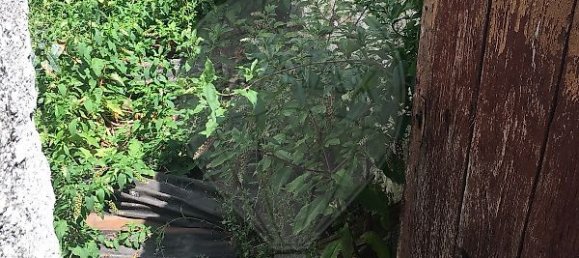 3 غرف نوم منزل في Guimaraes, Portugal رقم 180502 22