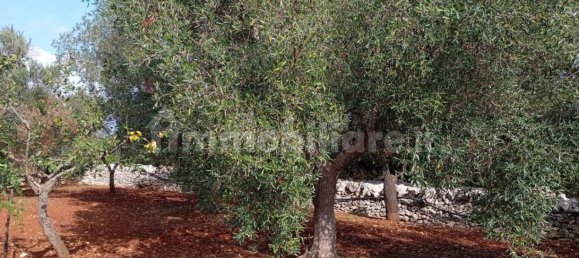 4 غرف نوم فيلا في Ostuni, Italy رقم 348129 11