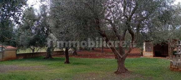 4 غرف نوم فيلا في Ostuni, Italy رقم 348129 12
