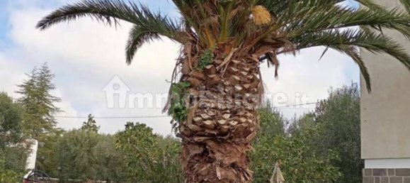 4 غرف نوم فيلا في Ostuni, Italy رقم 348129 17