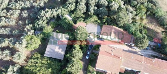 1 bedroom Villa in Collesalvetti, Italy No. 134697 4