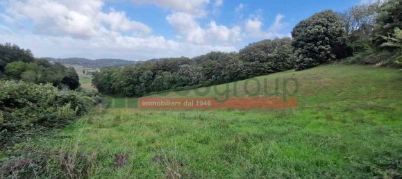 1 bedroom Villa in Collesalvetti, Italy No. 134697 6