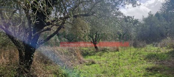 1 bedroom Villa in Collesalvetti, Italy No. 134697 37