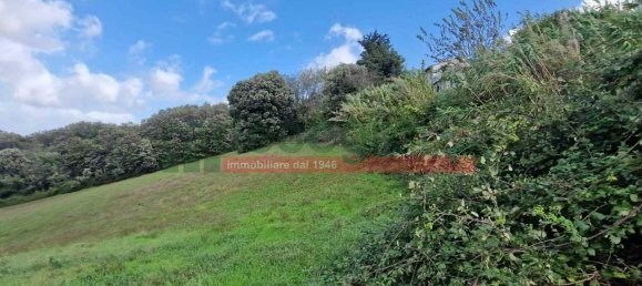 1 bedroom Villa in Collesalvetti, Italy No. 134697 11