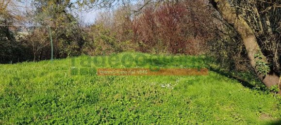 1 bedroom Villa in Collesalvetti, Italy No. 134697 48