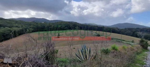 1 bedroom Villa in Collesalvetti, Italy No. 134697 42