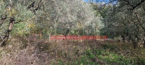 1 bedroom Villa in Collesalvetti, Italy No. 134697 36