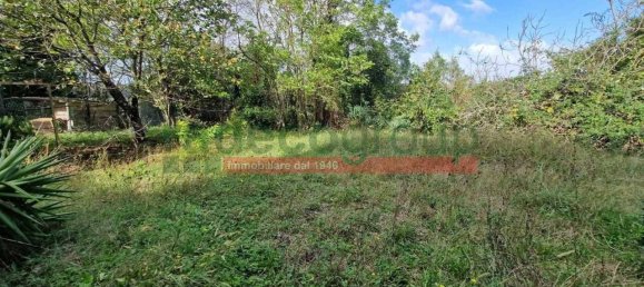 1 bedroom Villa in Collesalvetti, Italy No. 134697 7