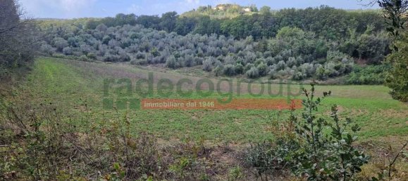 1 bedroom Villa in Collesalvetti, Italy No. 134697 15