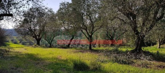 1 bedroom Villa in Collesalvetti, Italy No. 134697 50