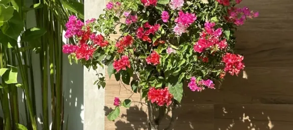 Villa T2 em Phuket, Thailand N.º 75478 30