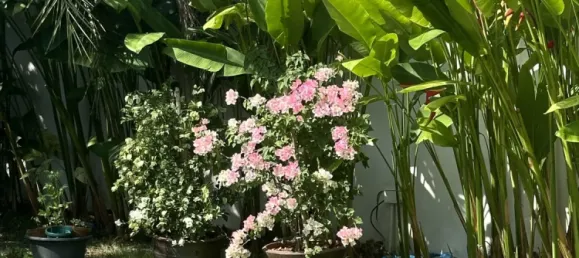 Villa T2 em Phuket, Thailand N.º 75478 29