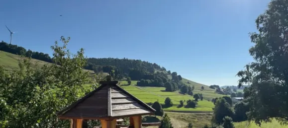 5 bedrooms House in Lorrach, Germany No. 328201 3