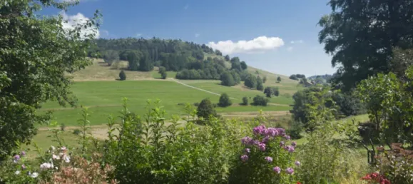 5 bedrooms House in Lorrach, Germany No. 328201 2