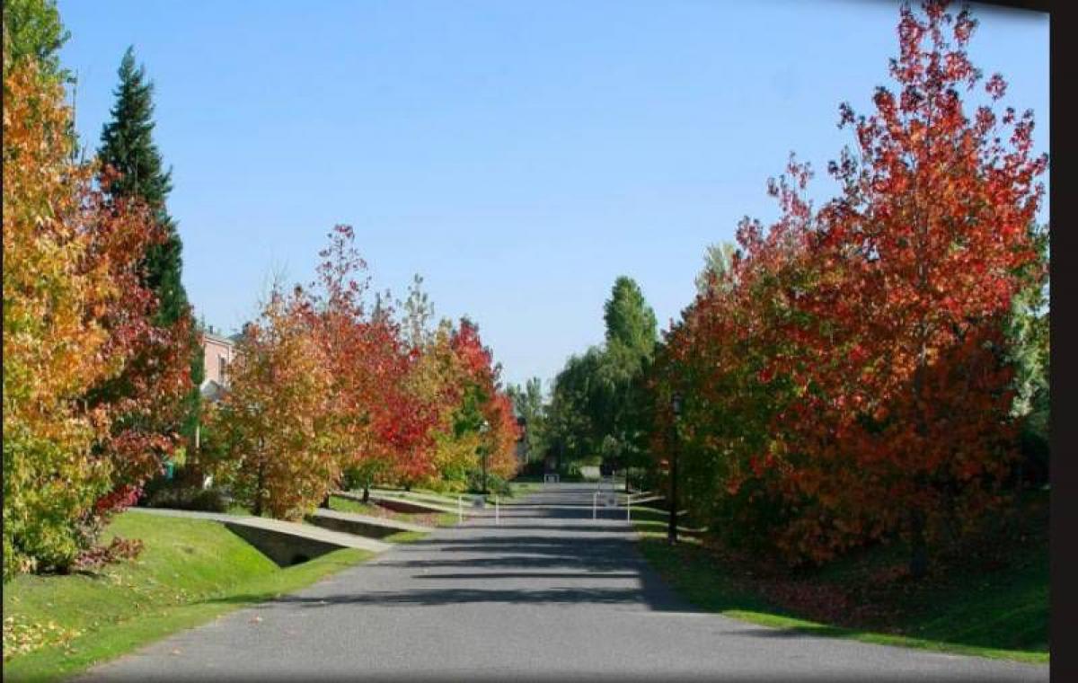  Land in Pilar, Argentina No. 118241