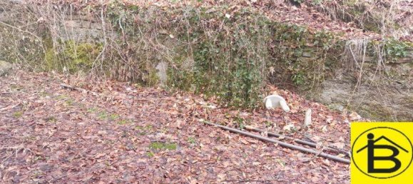 4غرفة منزل في Lilienfeld, Austria رقم 123926 11