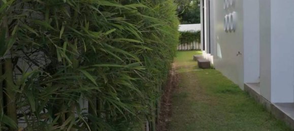 3 bedrooms Cafe / restaurant in Chalong, Thailand No. 11045 21