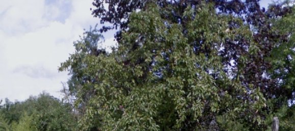  Land in Montevrain, France No. 273216 4