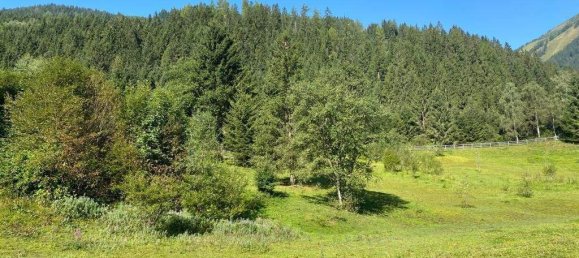  Land in Liezen, Austria No. 31374 7