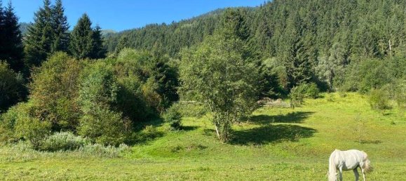  Land in Liezen, Austria No. 31374 5