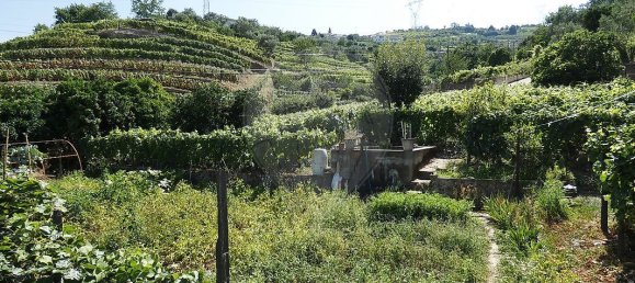 9 bedrooms House in Cambres, Portugal No. 62086 11