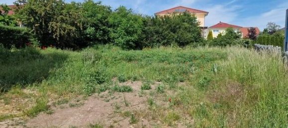 Земельный участок в Магдебург, Германия № 68176 5