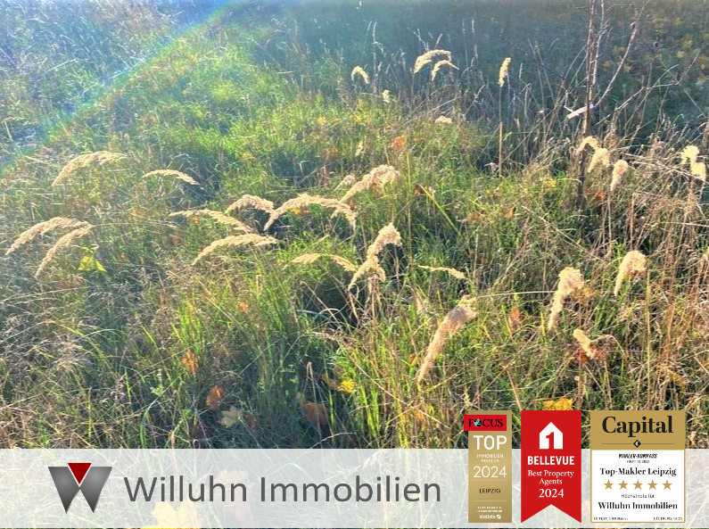 Земельный участок в Магдебург, Германия № 68176