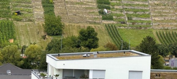 3 غرف نوم شقة في Ludwigsburg, Germany رقم 360428 3