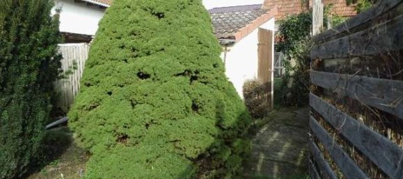 Casa de 4 habitaciónes en Mansfeld-Sudharz, Germany No. 173483 20