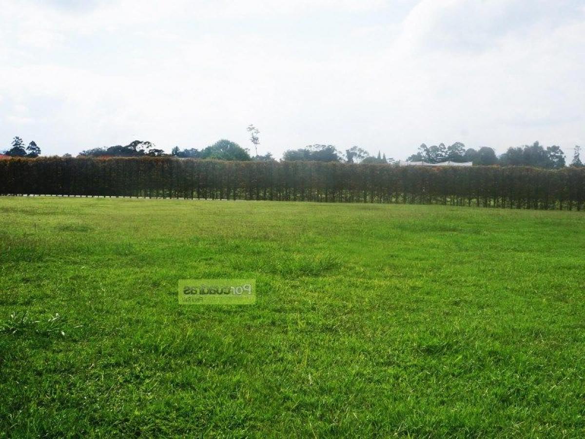  Land in Antioquia, Colombia No. 419