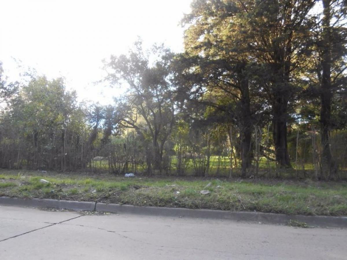 Terrain à Ituzaingo, Argentina No. 45472