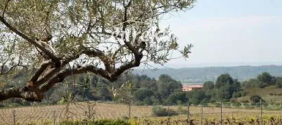 Terreno en Garriguella, Spain 561 m² No. 144308 23