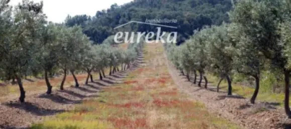 Terreno en Garriguella, Spain 561 m² No. 144308 27