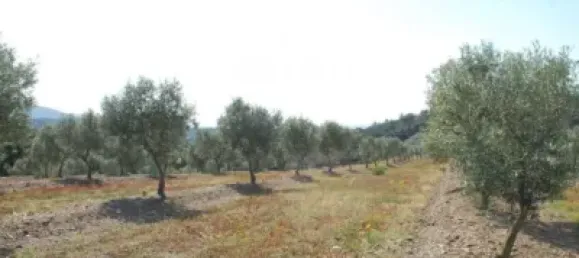 Terreno en Garriguella, Spain 561 m² No. 144308 20