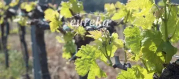 Terreno en Garriguella, Spain 561 m² No. 144308 25