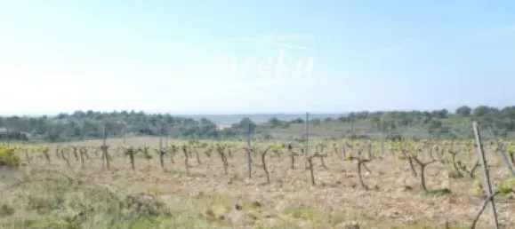 Terreno en Garriguella, Spain 561 m² No. 144308 22