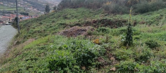 Land in Santo Tirso, Portugal No. 51546 5