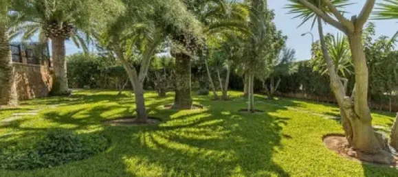 4 Schlafzimmer Haus in Palma de Majorca, Spain, Nr. 173927 51