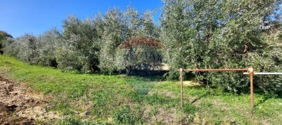 1 room Land in Serra San Quirico, Italy No. 6025 6