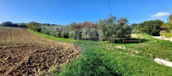 1 room Land in Serra San Quirico, Italy No. 6025 7
