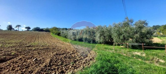 1 room Land in Serra San Quirico, Italy No. 6025 3