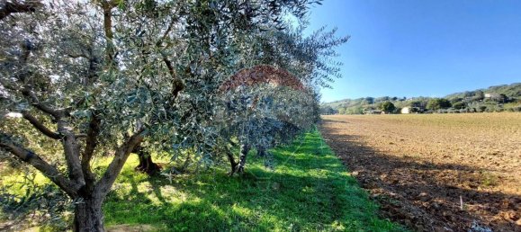1 room Land in Serra San Quirico, Italy No. 6025 8