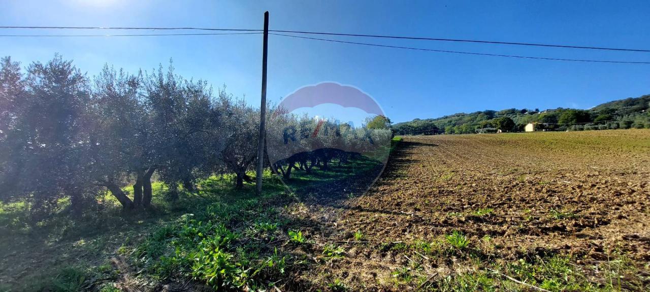 1 room Land in Serra San Quirico, Italy No. 6025