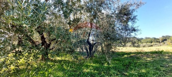 1 room Land in Serra San Quirico, Italy No. 6025 4